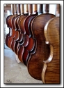 The family of violin
